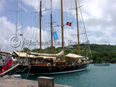 Yachts at Nelson's Dockyard